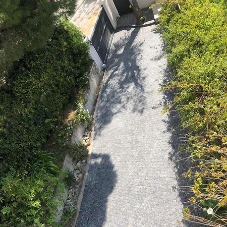 Sublime De Apercu /hippodrome / קאן סור מר