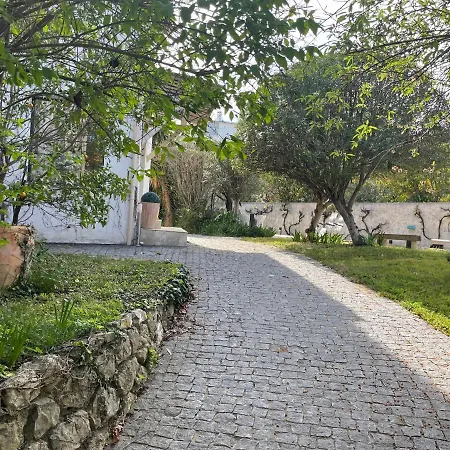 Apartament Sublime De Apercu /hippodrome / *