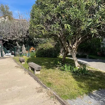 Sublime De Apercu /hippodrome / * Καν-συρ-Μερ